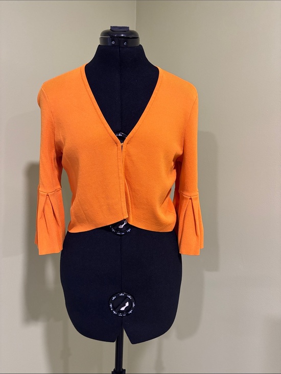 eva mendes for New York & Company Sweaters - Eva Mendes Orange V-Neck Bell Sleeve Cropped Sweater